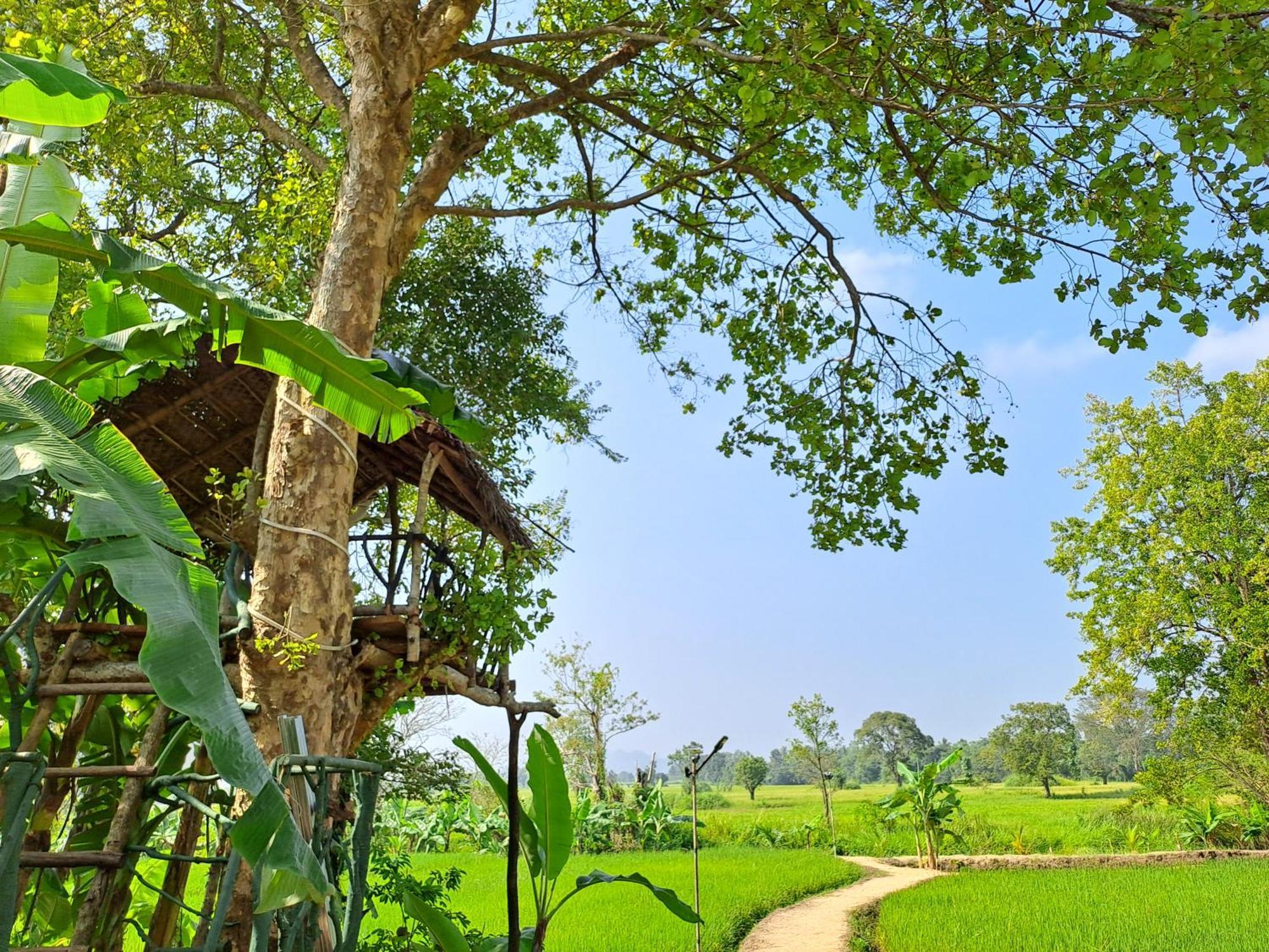 The Nature Park Villa Sigiriya Exterior foto