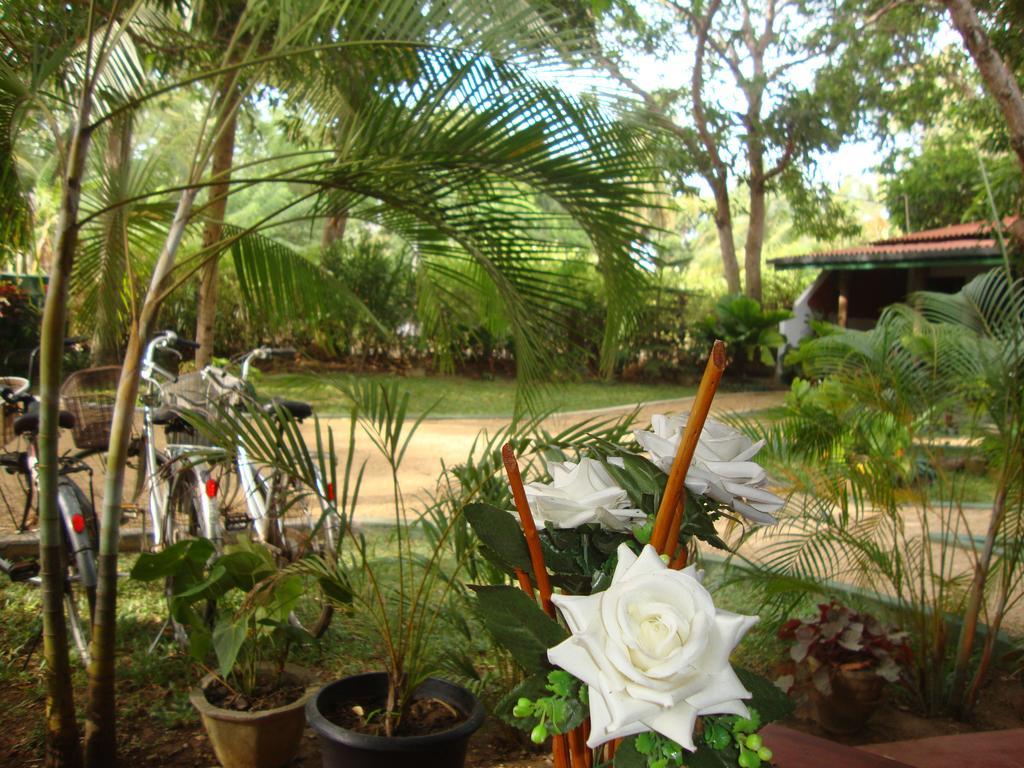 The Nature Park Villa Sigiriya Exterior foto